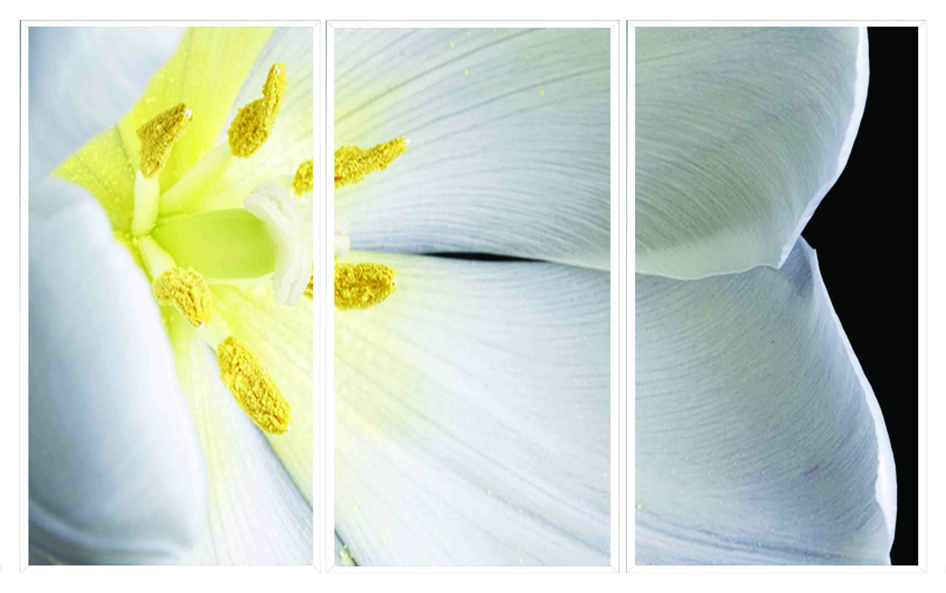 ASG267 Wall décor art printed on glass floral set of 3